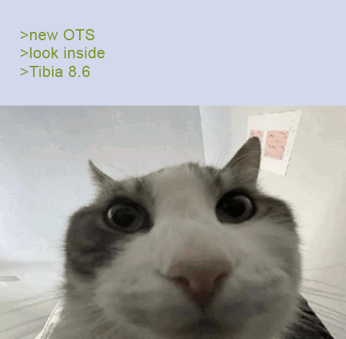 (8.6) pegaz-ots.pl  &ndash; START 11.04.2026  18:30-image.png