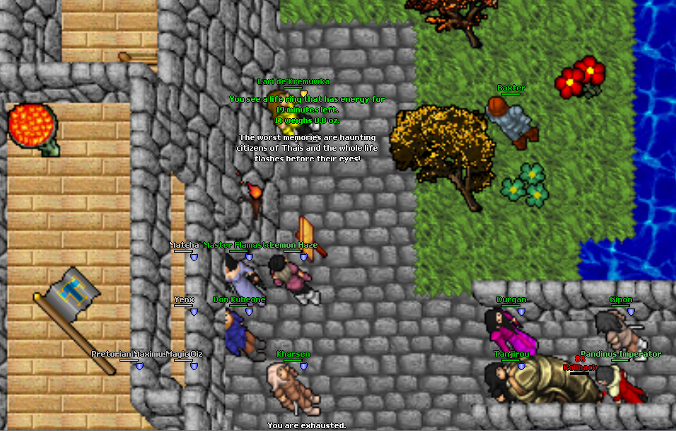 Zaproszenie do gildii Non-Pvp - Związek Zawodowy Druid&oacute;w-image.png