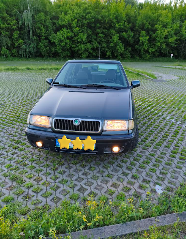 Wyb&oacute;r samochodu.-skoda3.png