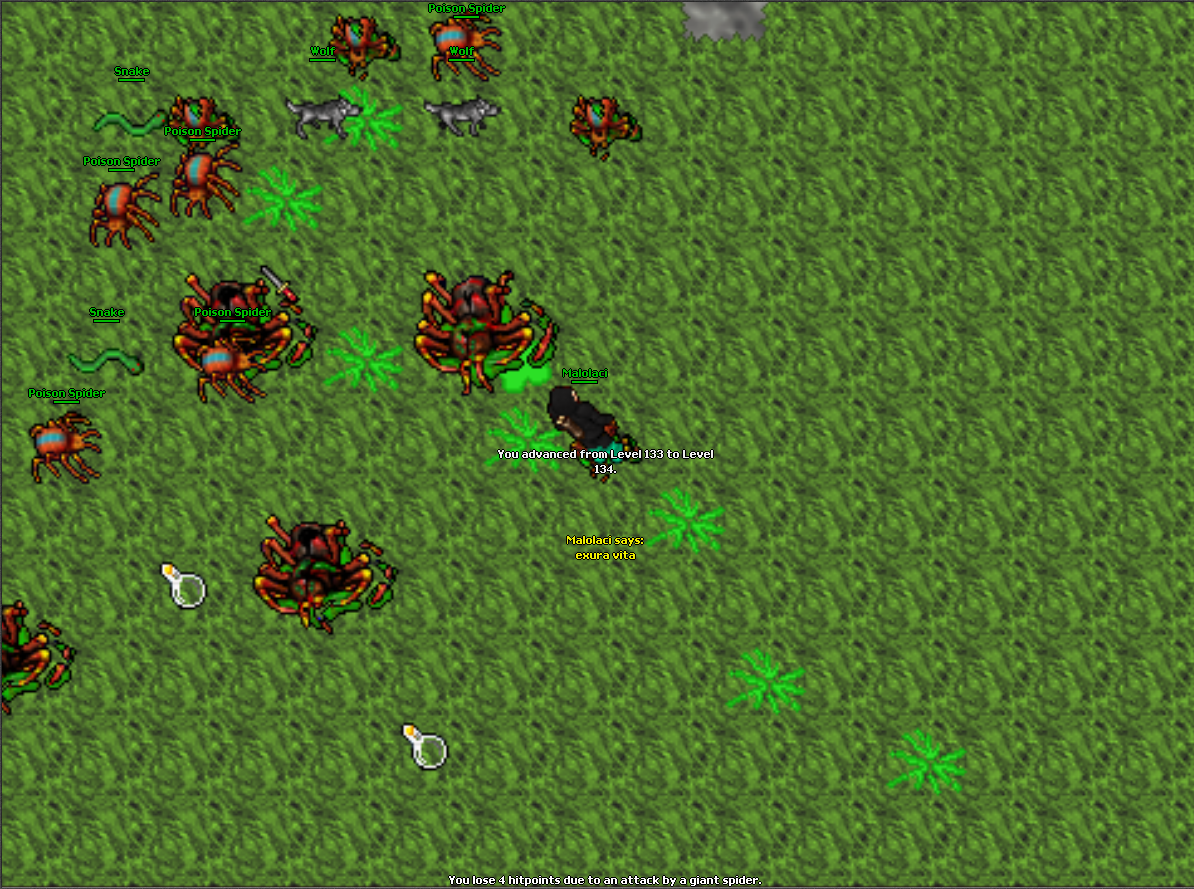 Screeny z Tibiantisa :-)-134-lvl.png
