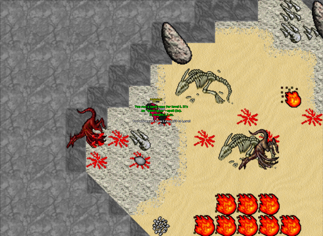 Screeny z Tibiantisa :-)-obraz.png