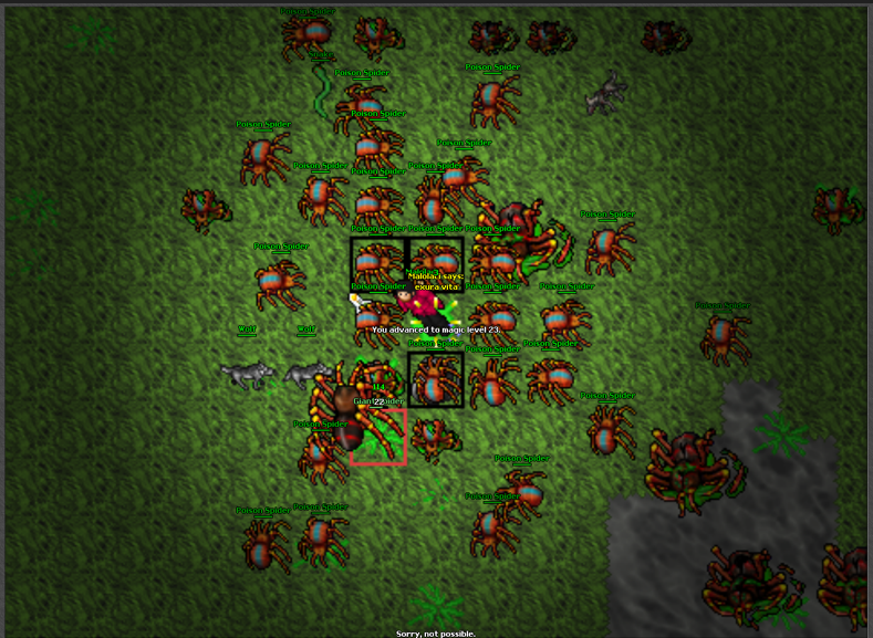 Screeny z Tibiantisa :-)-obraz.png