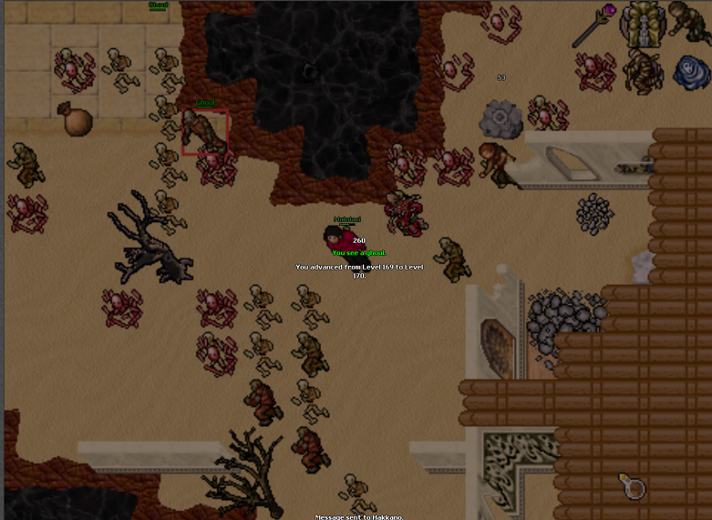 Screeny z Tibiantisa :-)-obraz.png