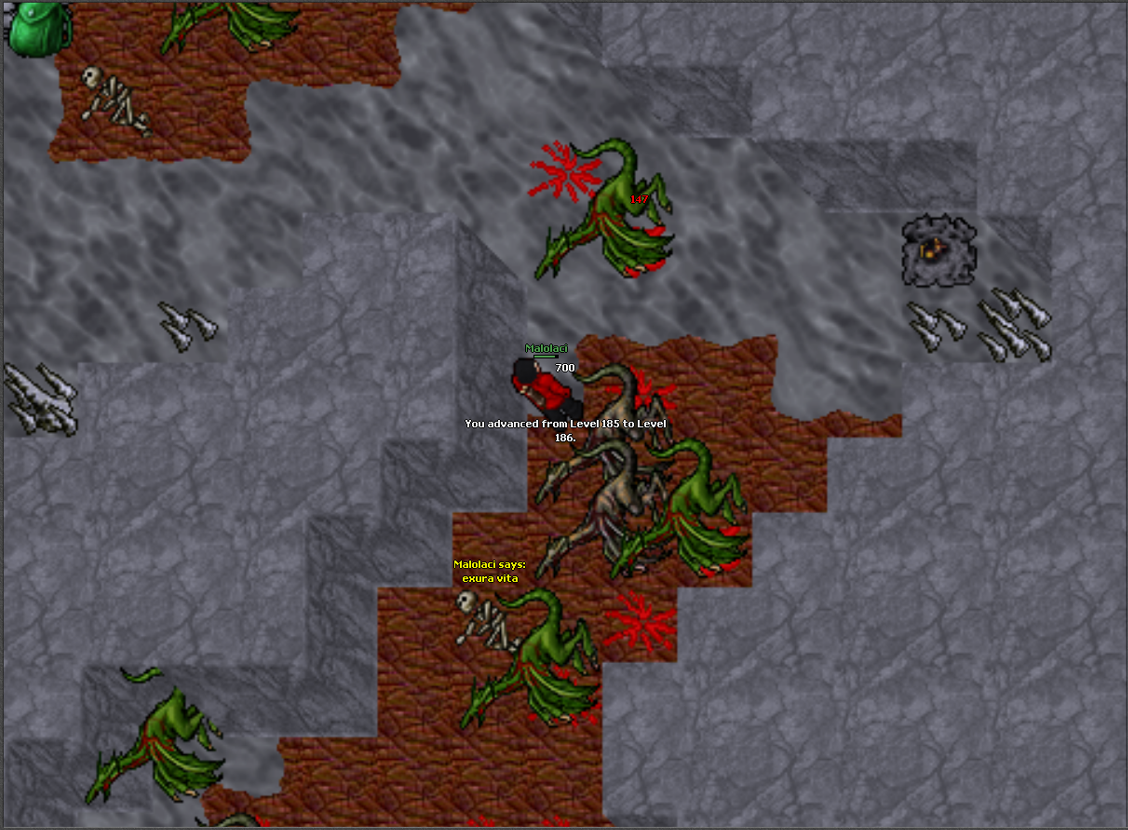Screeny z Tibiantisa :-)-obraz.png