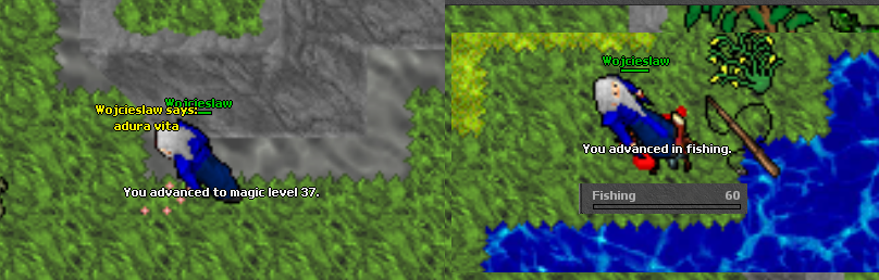 Przygody z Concordii - Nasze Screeny, historie życia tibiantijskiego :-)-.png