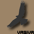 Avatar Vasiva