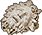 moth