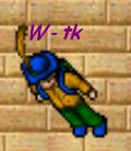 Avatar W-tk