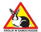 Avatar Kasztanowiec