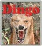 Avatar Dingo