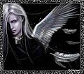 Avatar Areal2