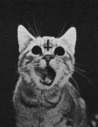 Avatar Michallo