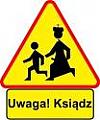 Avatar Vikklev