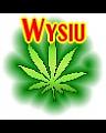 Avatar Wysiu