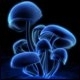 Avatar marcin3650