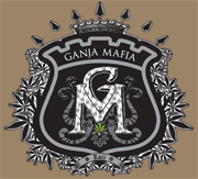 Avatar Erni.
