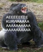 Avatar Zodiak