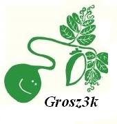 Avatar Grosz3k