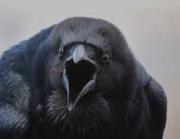 Avatar Ravenek