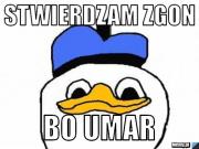 Avatar Waszyf