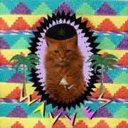Avatar MikalCronin
