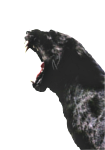Avatar vodorus