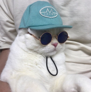Avatar biczu