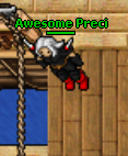 Avatar Precizioner