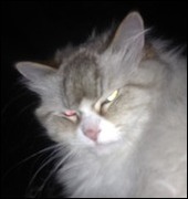 Avatar lipek