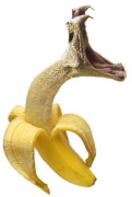 Avatar wąż