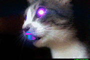 Avatar Kozek