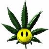 Avatar Krzychos