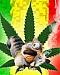 Avatar Mgic