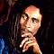 Avatar RastaMerol