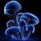Avatar marcin3650