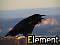 Element