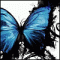 Avatar Martii013