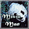 Avatar Misio Man